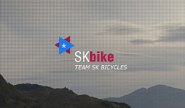 *SKbike